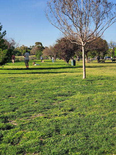 A Day at Libbit Park, Encino: Your Go-To Guide for an Unforgettable Visit